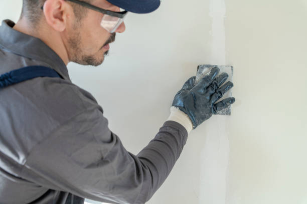 Best Dehumidification Services  in Archbold, OH